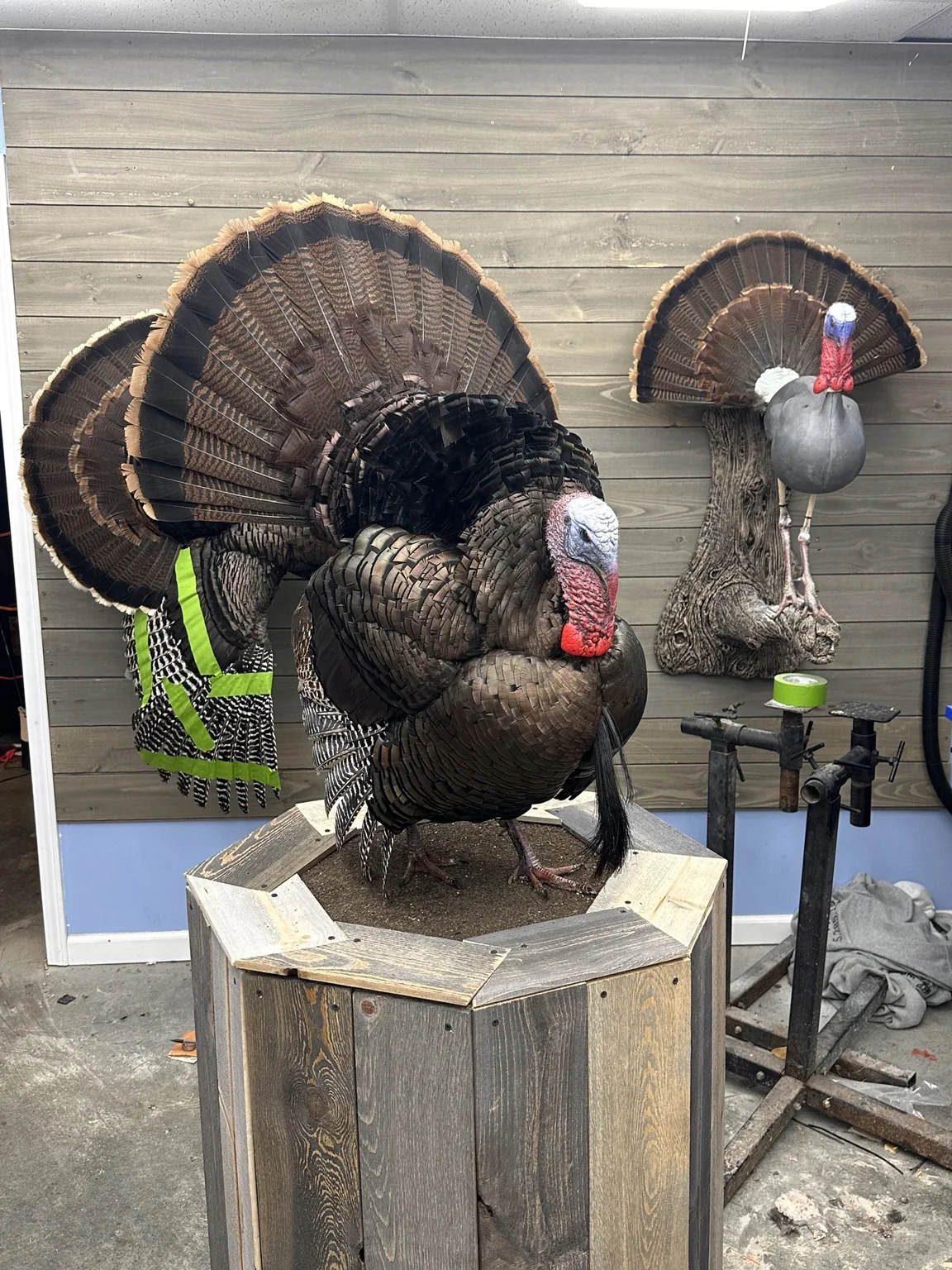 Full-body strutting turkey taxidermy mount